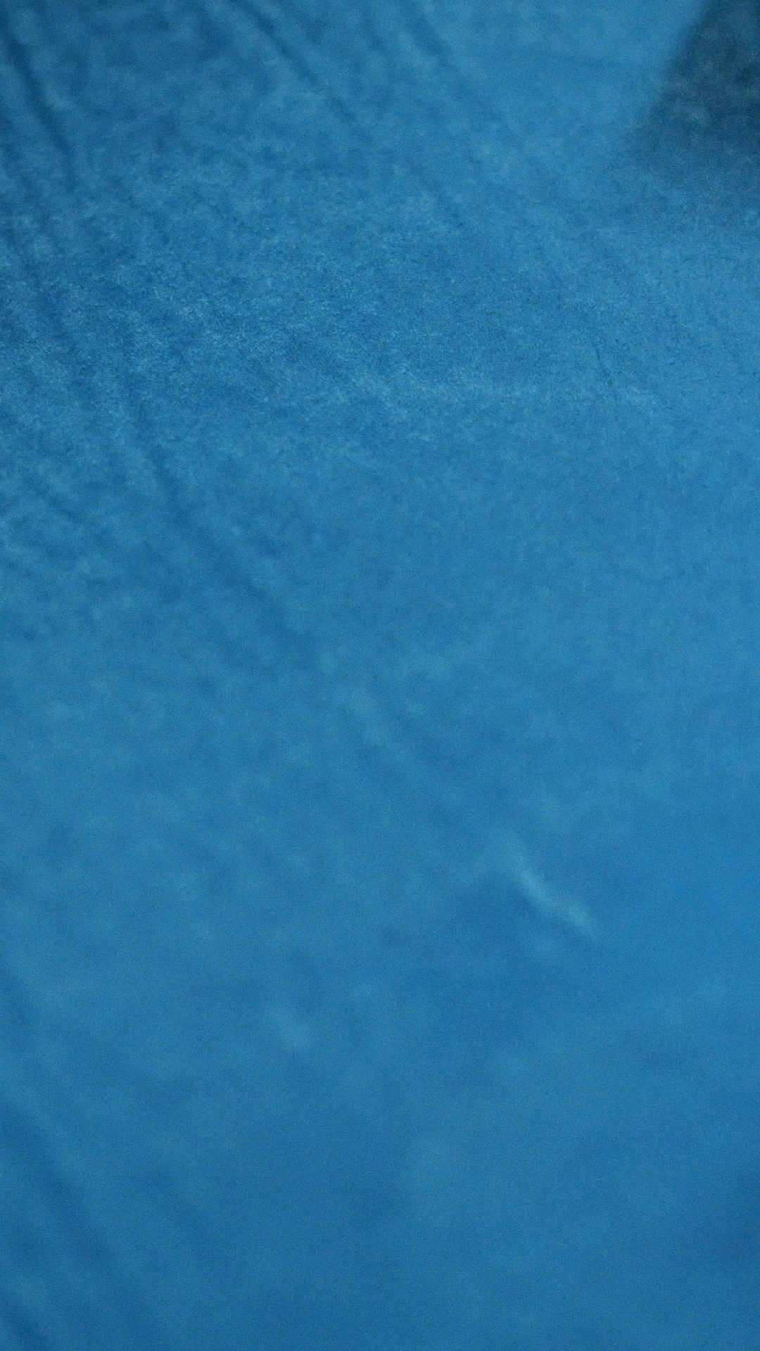 MAYA